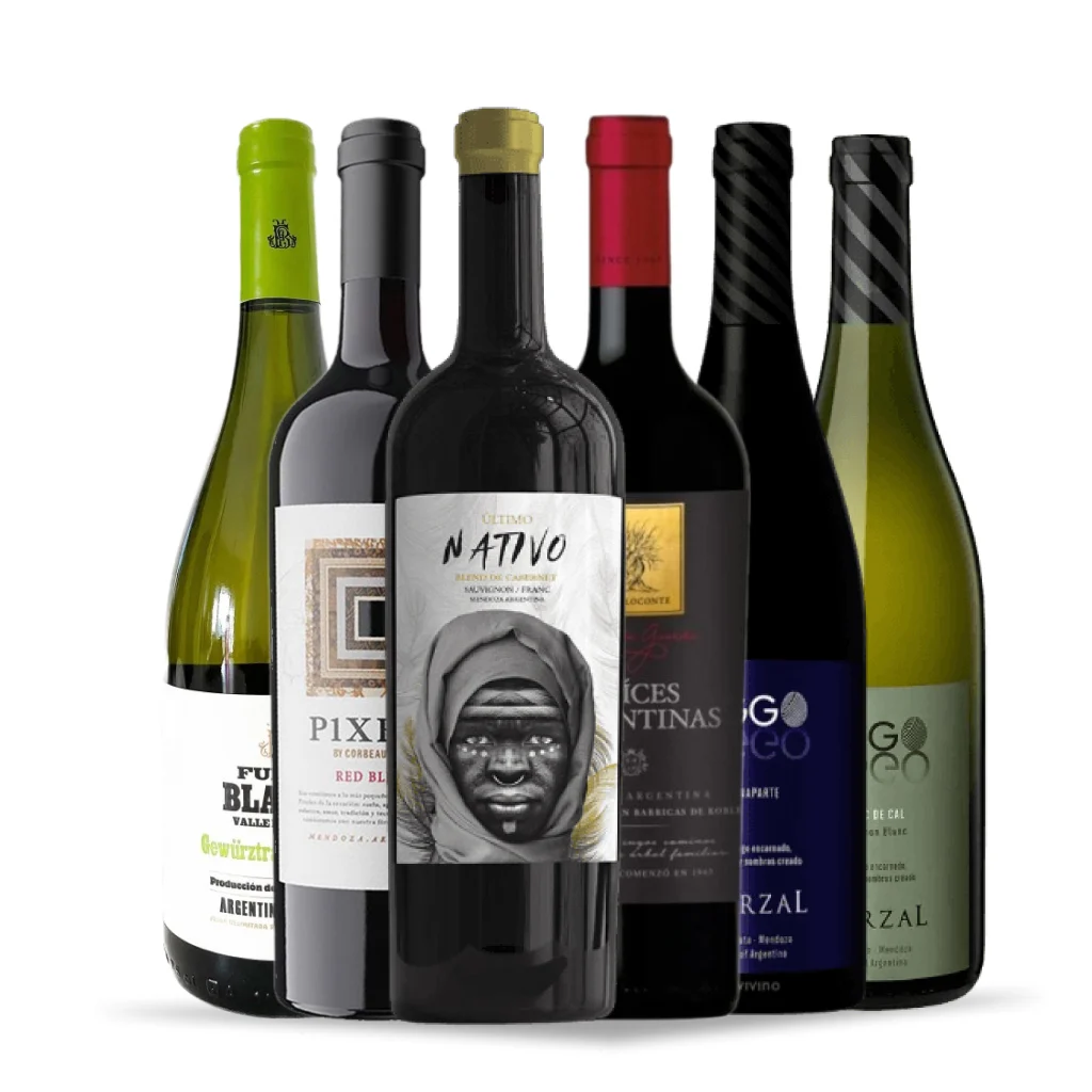 Kit 6 vinhos argentinos