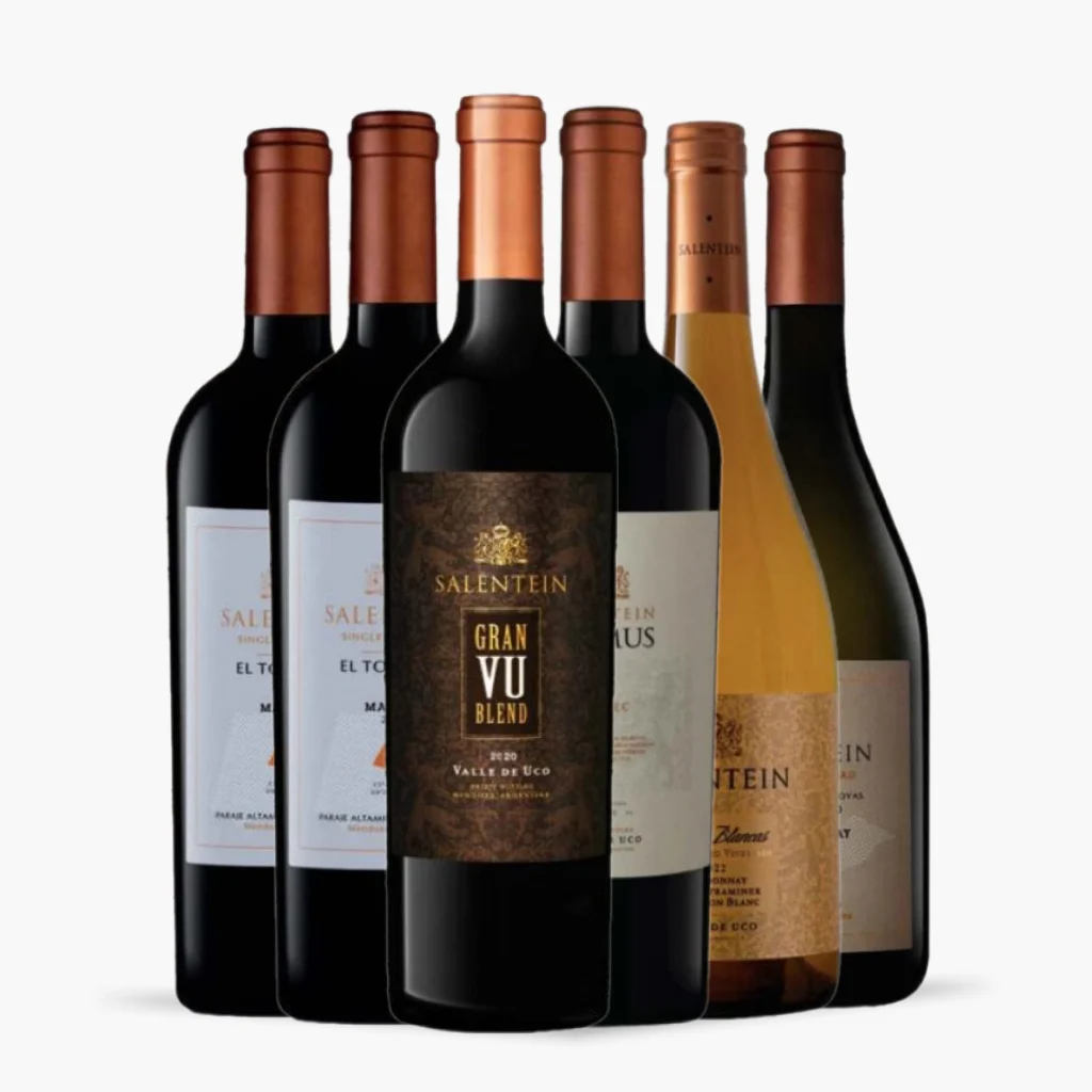 kit_6x_bodegas_salientein