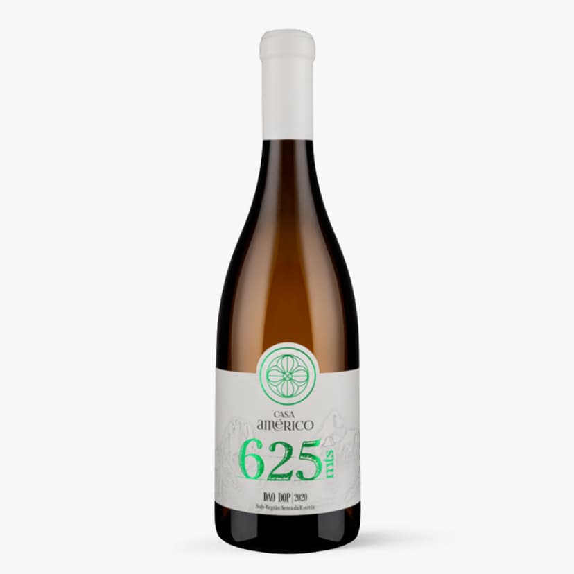 Casa Américo 625mts Branco 2020