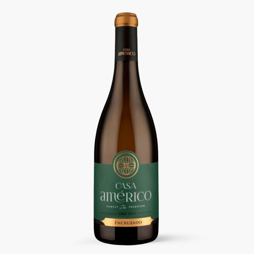 Casa Américo Encruzado Branco 2022
