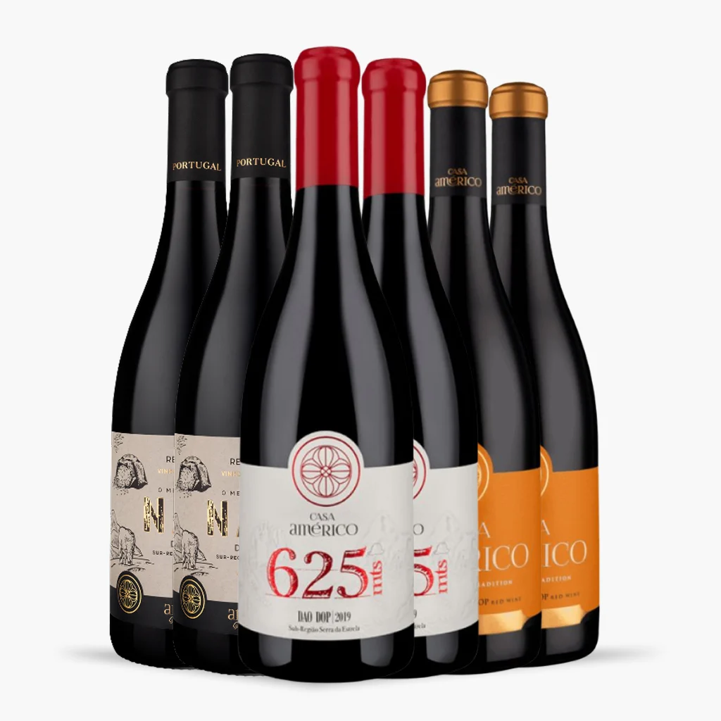 Kit 6x Vinhos Tintos Casa Américo