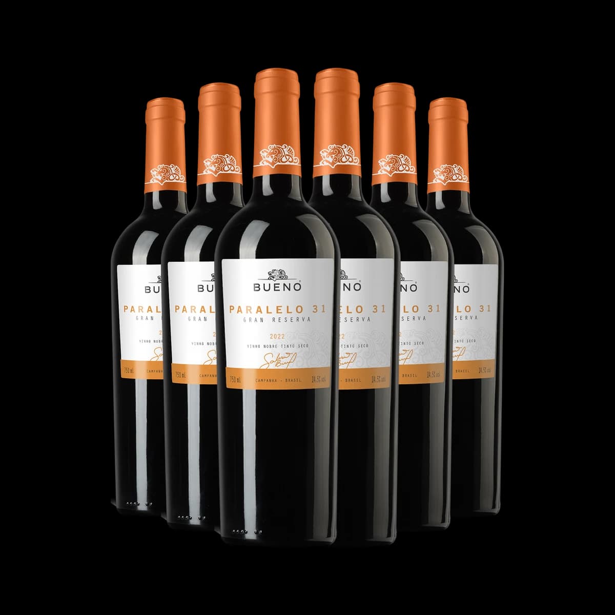 Kit 6x Vinho Bueno Paralelo 31 Gran Reserva 2022