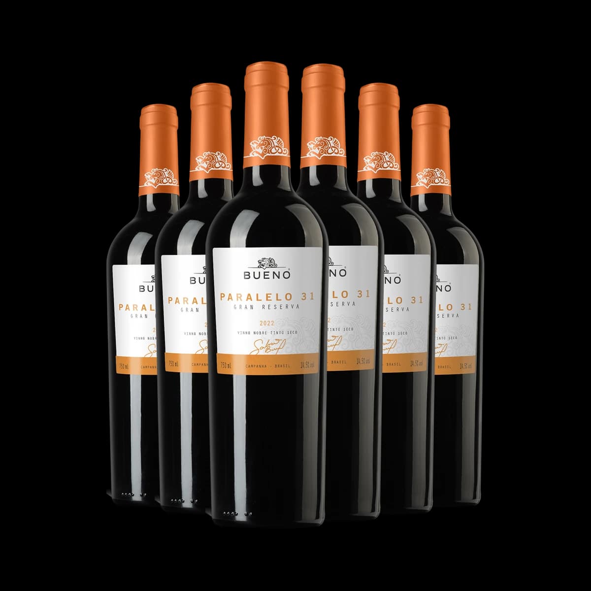 Kit 6x Vinho Bueno Paralelo 31 Gran Reserva 2022