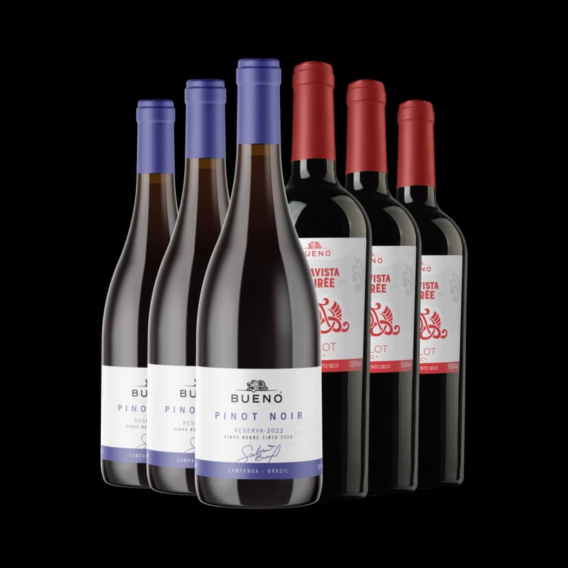 Kit 3x Pinot Noir Reserva e 3x Desirée Merlot 2023