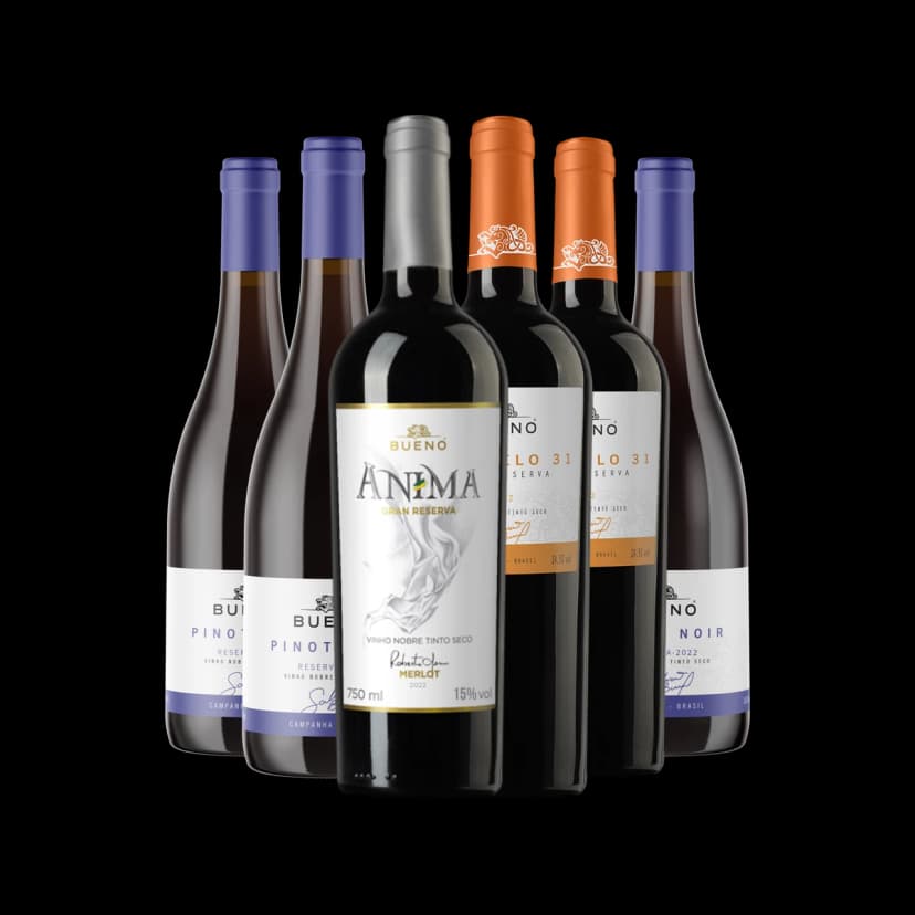 Kit 6x Vinhos Tintos Reserva Bueno Wines