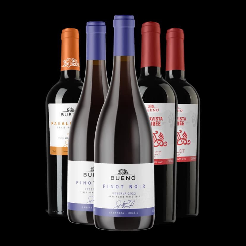 Kit 3x Vinhos Reservas Bueno Wines e 2x Bueno Desirée Merlot