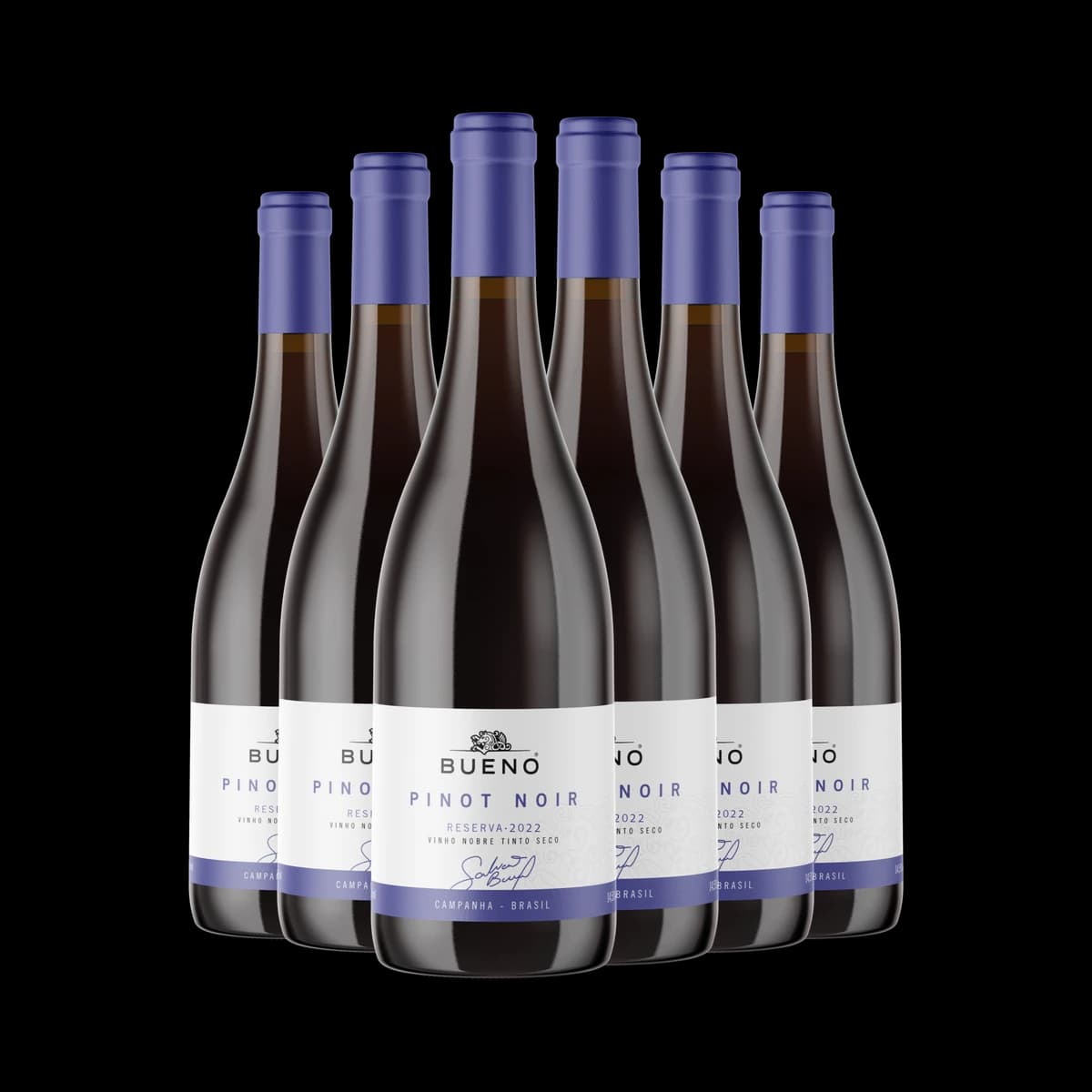 Kit 6x Vinho Bueno Pinot Noir Reserva 2023