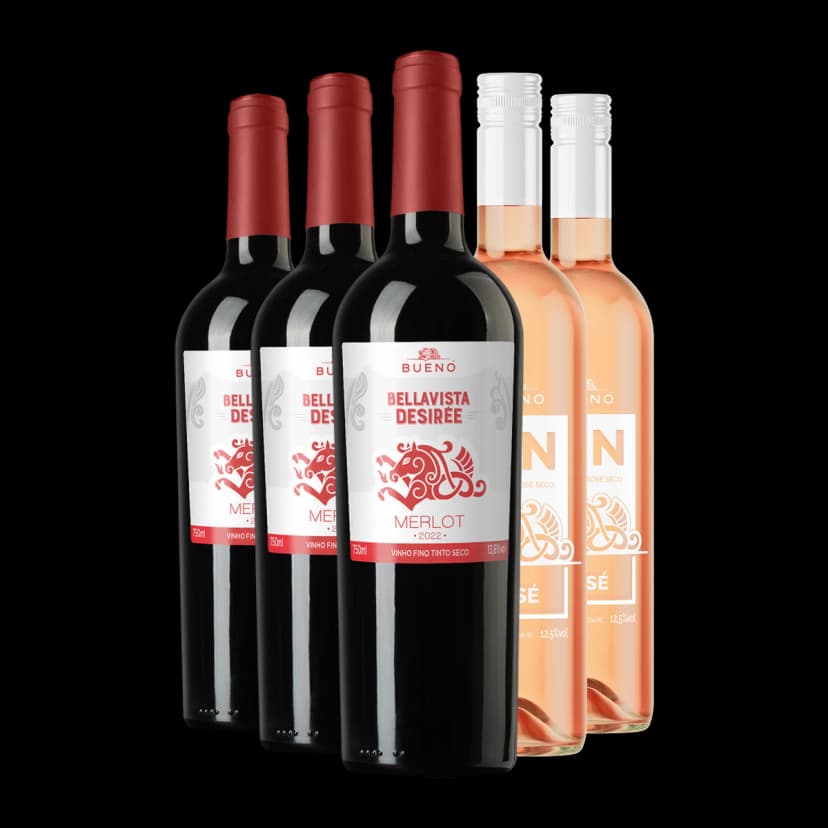 Kit 3x Bueno Desirée Merlot e 2x Vin Rosé