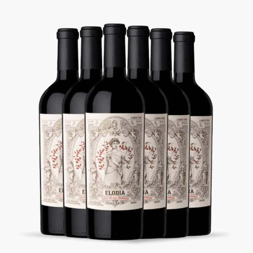 6x_elodia-malbec-single-vineyard-los-chacayes
