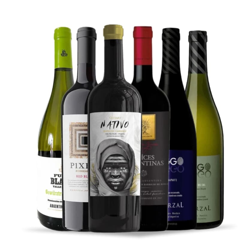 Kit 6 vinhos argentinos