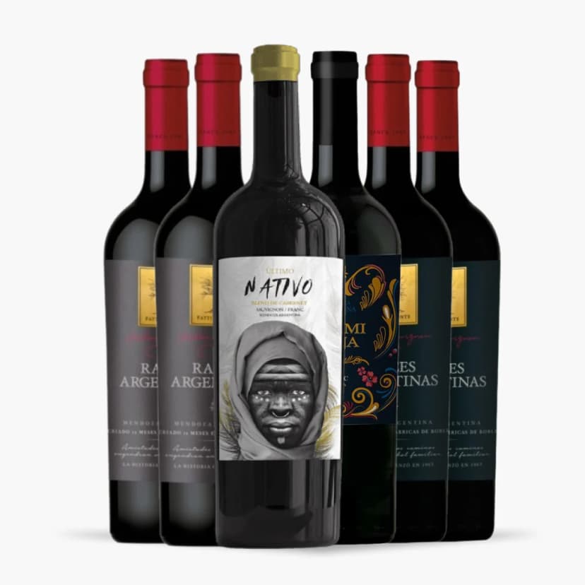 Kit 6x Vinhos Vinicola Salvador Patti