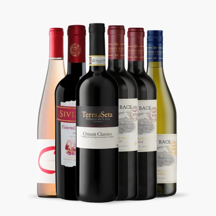 Kit 6x Vinhos Kosher – Diversos