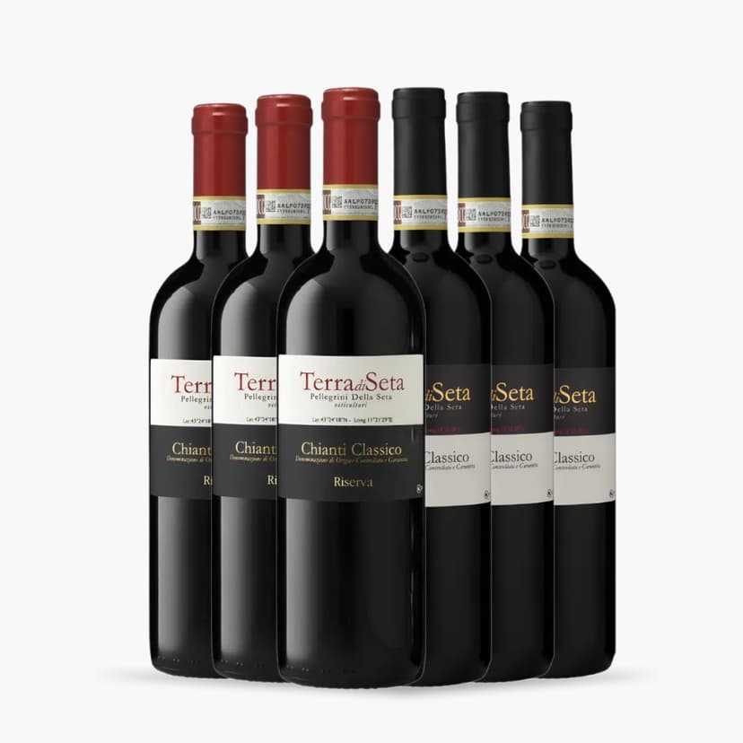 kit 6x Vinhos Vinicola Terra di Seta