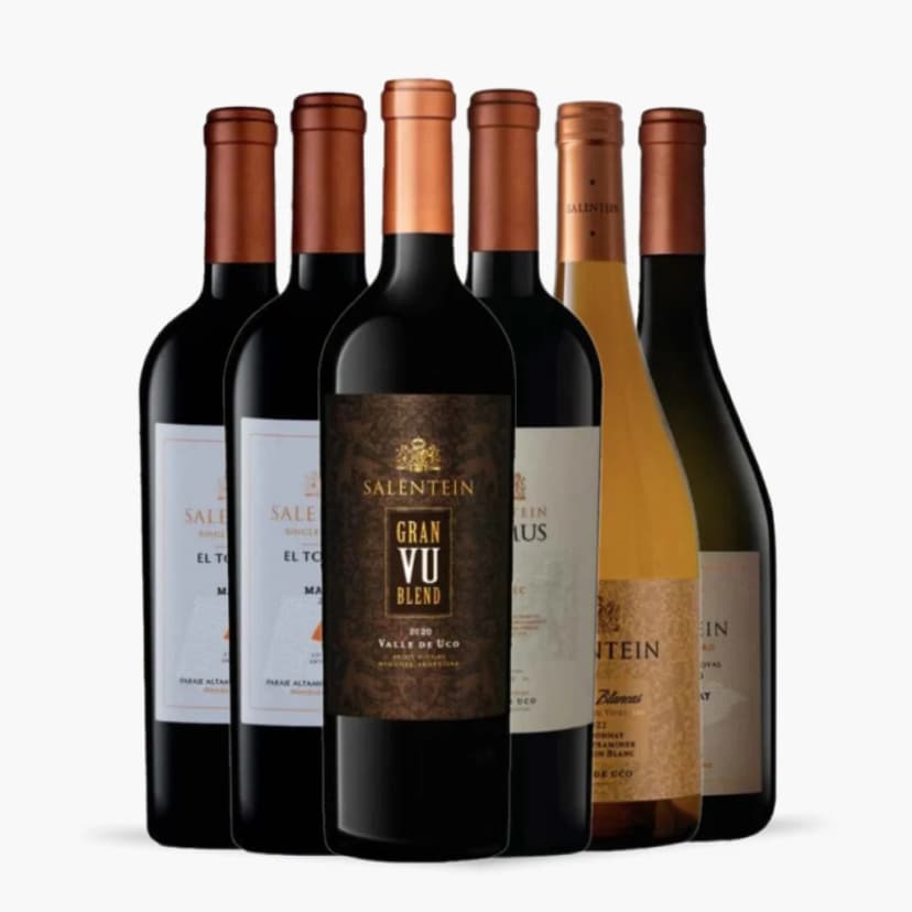 kit_6x_bodegas_salientein