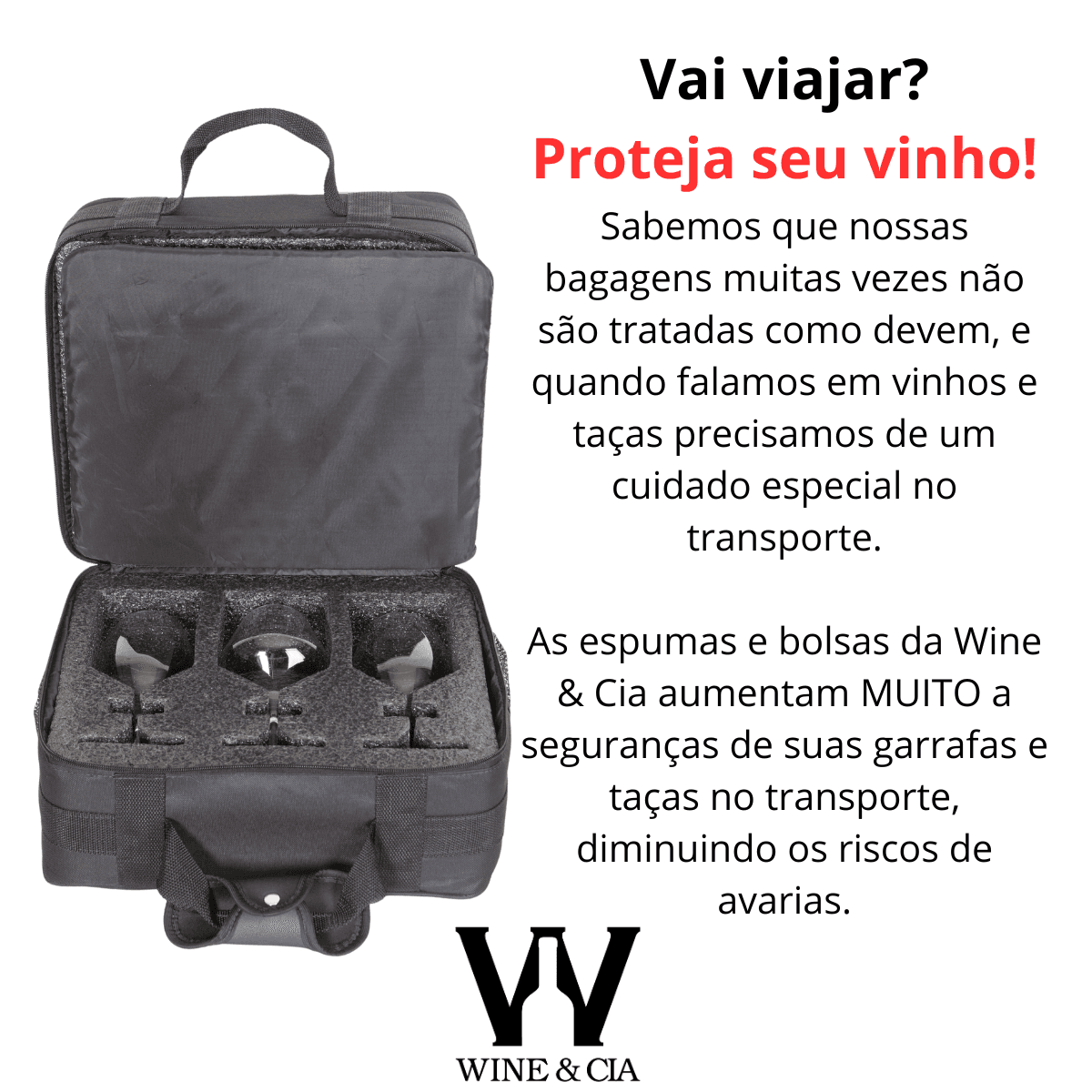 Mala EZ Trip - Bolsa Pequena Com Espuma Protetora De Garrafas e Taças