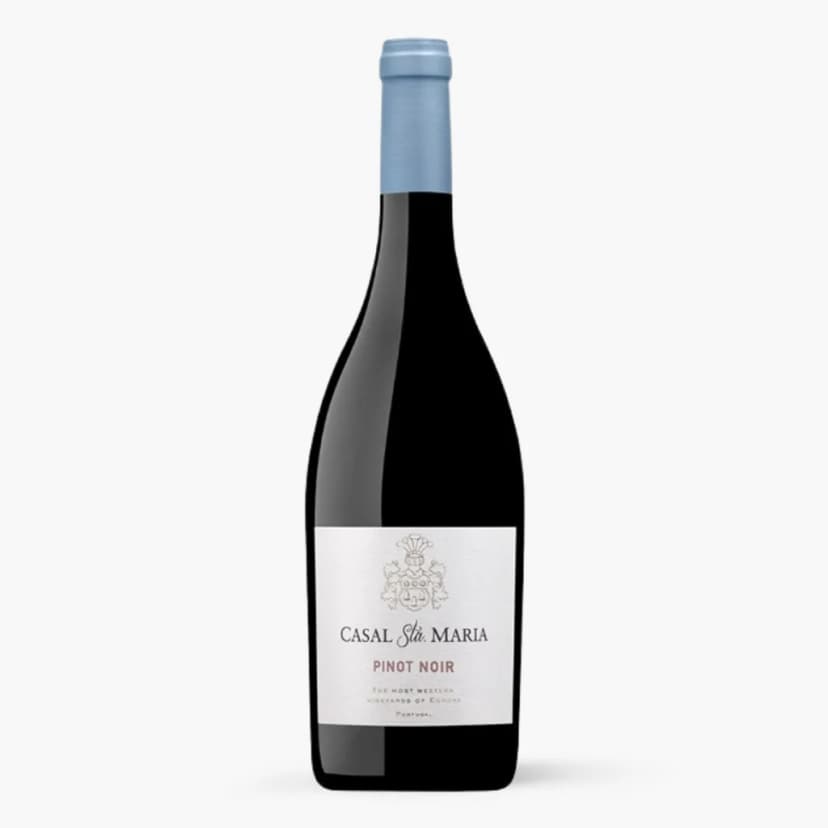 Casal Santa Maria Pinot Noir Tinto 2022