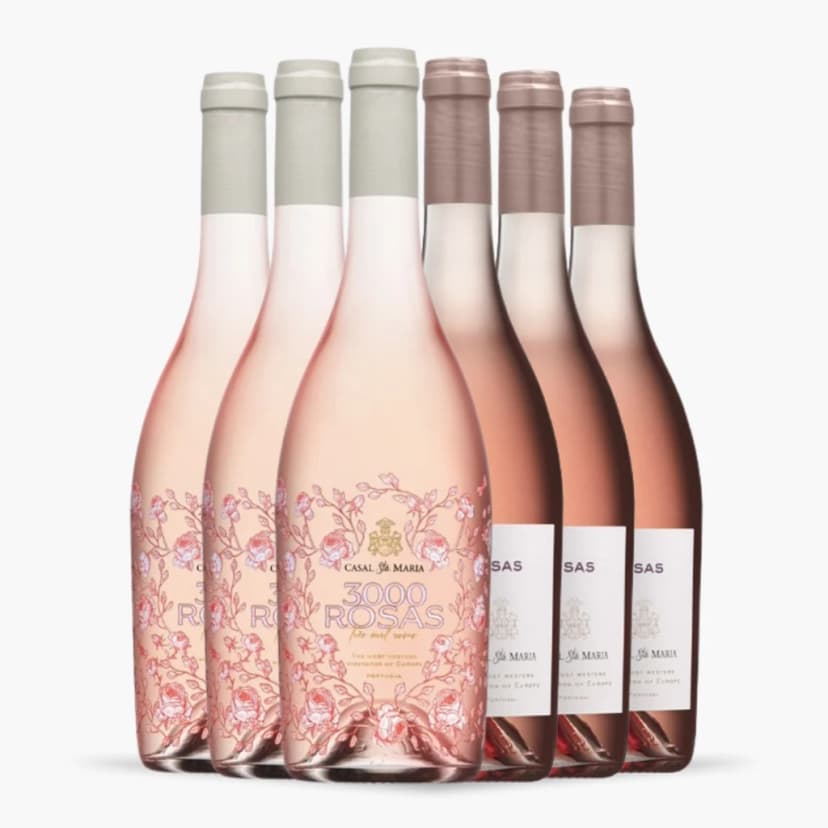 Kit 6x Casal Santa Maria 3000 Rosas Rosé 2021