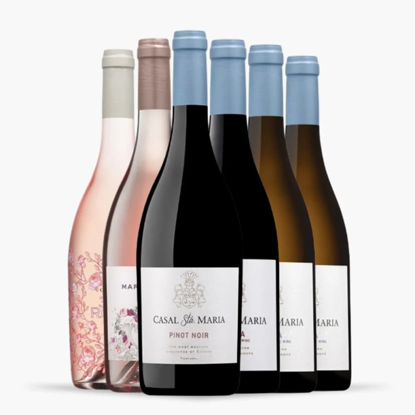 Kit 6x Seleção Vinhos Casal Santa Maria