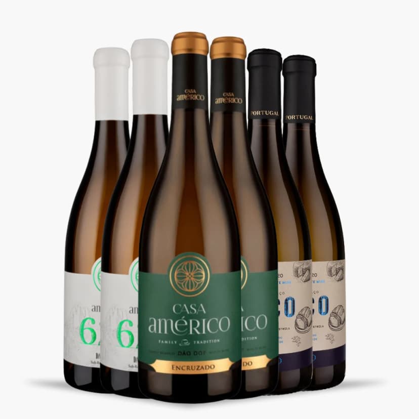 Kit 6x Vinhos Brancos Casa Américo