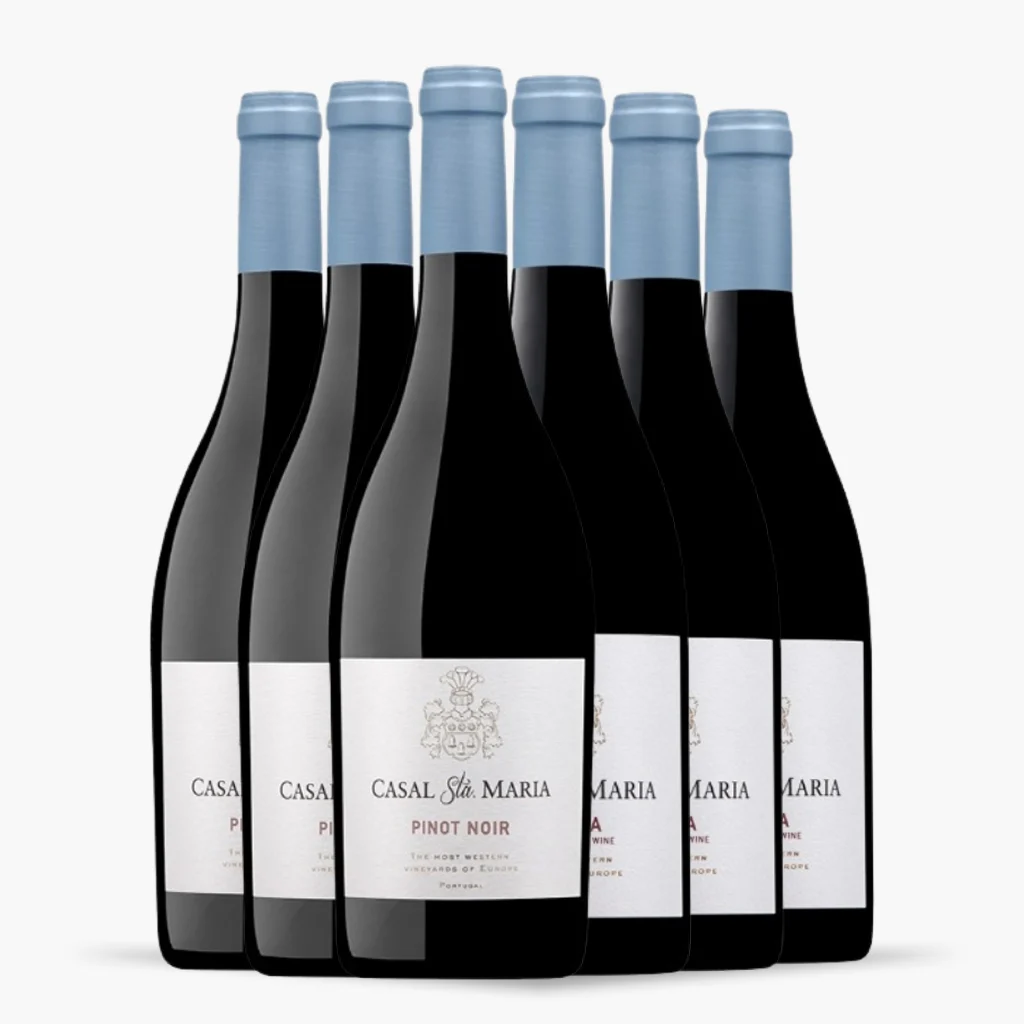 Kit 6x Vinhos Tintos Casal Santa Maria