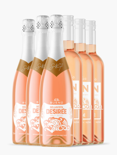 Kit 6 Rosés Bueno Wines