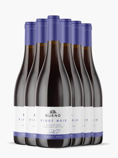 Bueno Pinot Noir Reserva 2022