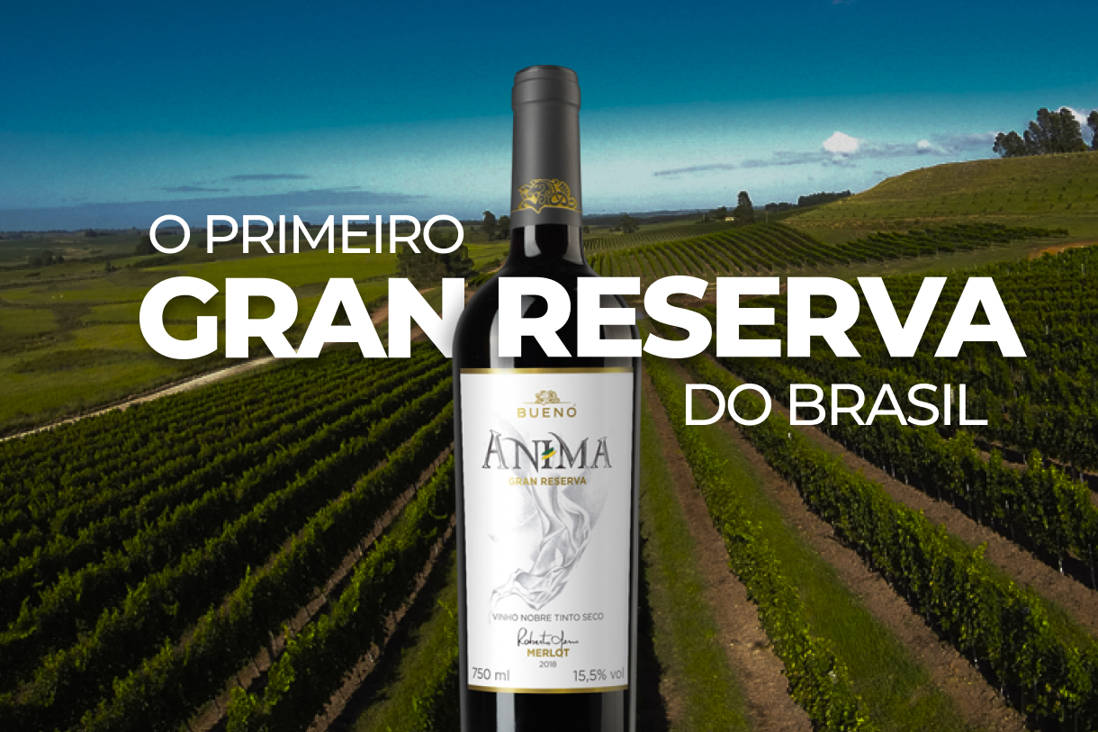 O melhor vinho do brasil